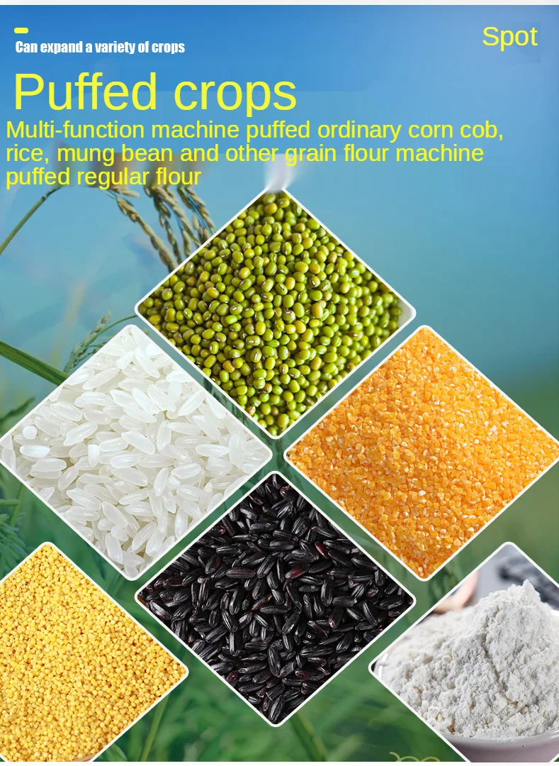 Hot Selling  Small Business Us - Quality Food Snacks 评论和价格