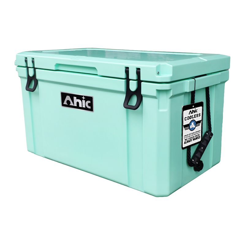 75L Insulated PE Ice Cooler Bo - Food & Snacks Coloring 评论和价格